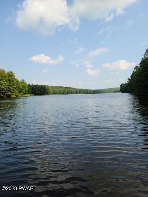  - photo 8