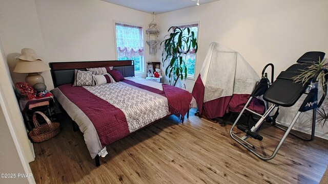 177 Crane Rd, Lakeville, PA 18438 - bedroom with wood finished floors