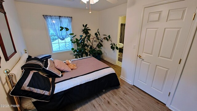 177 Crane Rd, Lakeville, PA 18438 - bedroom with wood finished floors and a ceiling fan