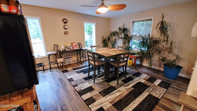 177 Crane Rd, Lakeville, PA 18438 - dining area with wood finished floors and a ceiling fan