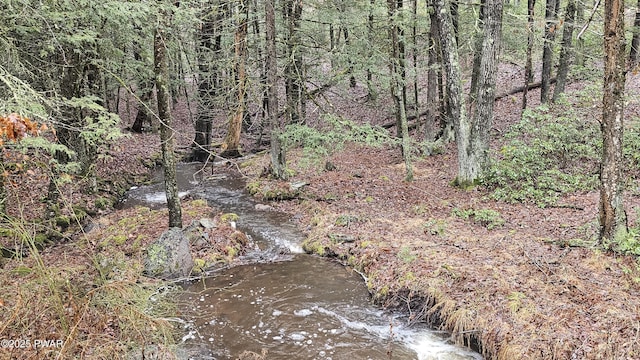 Listing photo 3 for LOT24 Brook Dr, Narrowsburg, Ny NY 12764