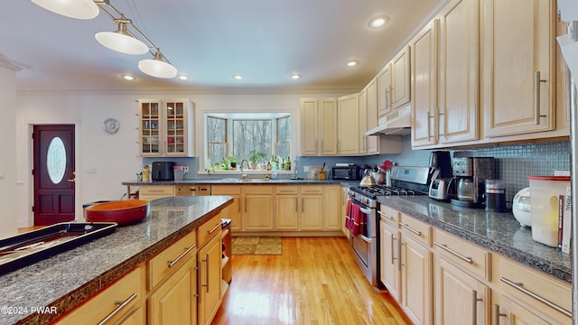 kitchen featuring light wood-type flooring, tasteful backsplash, stainless steel gas range, crown molding, and pendant lighting