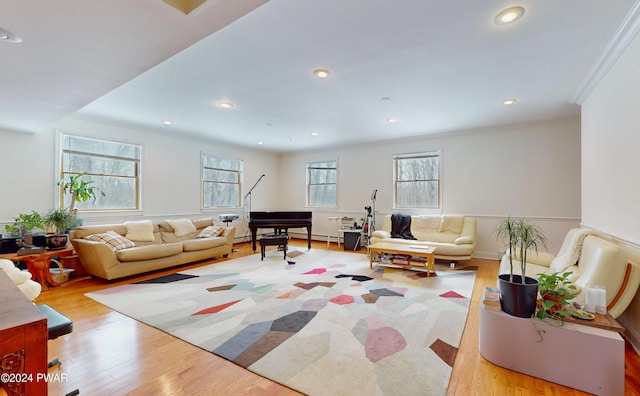 living room featuring ornamental molding and light wood-type flooring