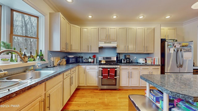 kitchen featuring sink, stainless steel appliances, light hardwood / wood-style floors, decorative backsplash, and ornamental molding