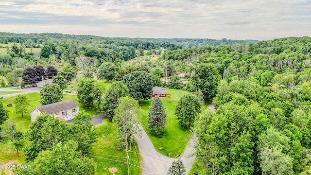 15 Rose Land Dr, Honesdale, PA 18431 - photo 46