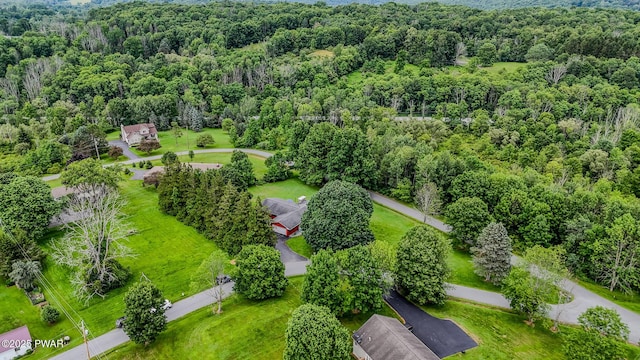 15 Rose Land Dr, Honesdale, PA 18431 - photo 52