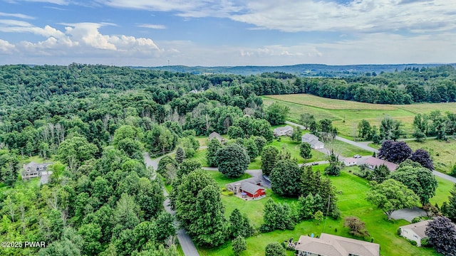 15 Rose Land Dr, Honesdale, PA 18431 - photo 48