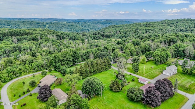 15 Rose Land Dr, Honesdale, PA 18431 - photo 50