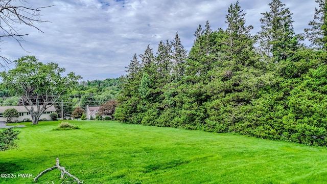 15 Rose Land Dr, Honesdale, PA 18431 - photo 62