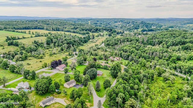 15 Rose Land Dr, Honesdale, PA 18431 - photo 45
