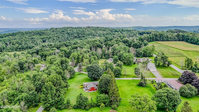 15 Rose Land Dr, Honesdale, PA 18431 - photo 49