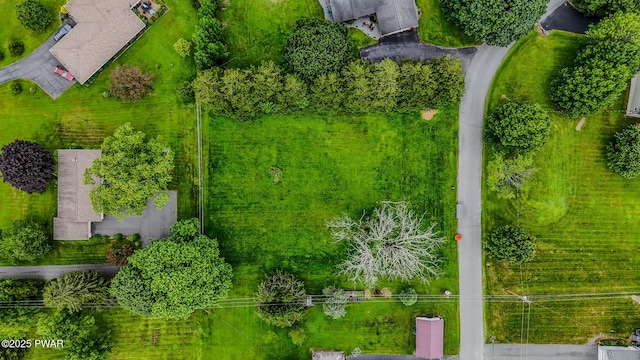 15 Rose Land Dr, Honesdale, PA 18431 - photo 44