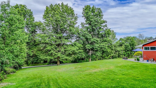 15 Rose Land Dr, Honesdale, PA 18431 - photo 67