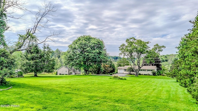 15 Rose Land Dr, Honesdale, PA 18431 - photo 66
