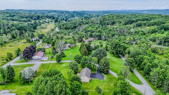 15 Rose Land Dr, Honesdale, PA 18431 - photo 53