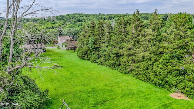 15 Rose Land Dr, Honesdale, PA 18431 - photo 63