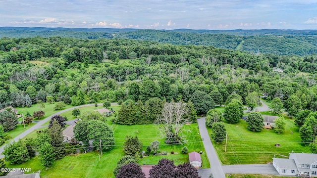 15 Rose Land Dr, Honesdale, PA 18431 - photo 51