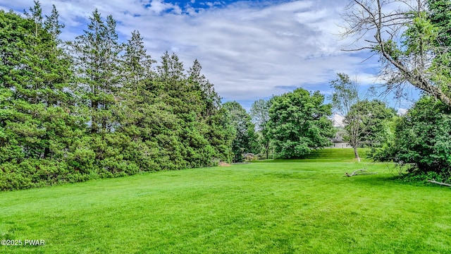 15 Rose Land Dr, Honesdale, PA 18431 - photo 64