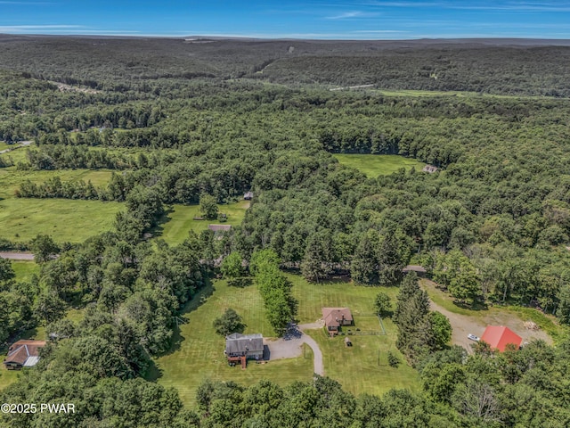 46 Kosinski Rd, Covington Twp, PA 18444 - photo 11