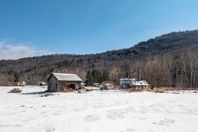 property view of mountains with a forest view