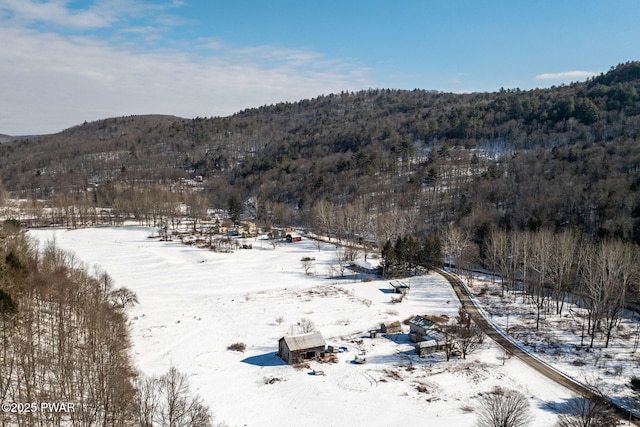 view of mountain feature featuring a view of trees