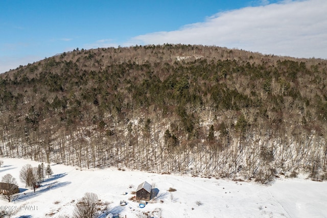 property view of mountains featuring a wooded view