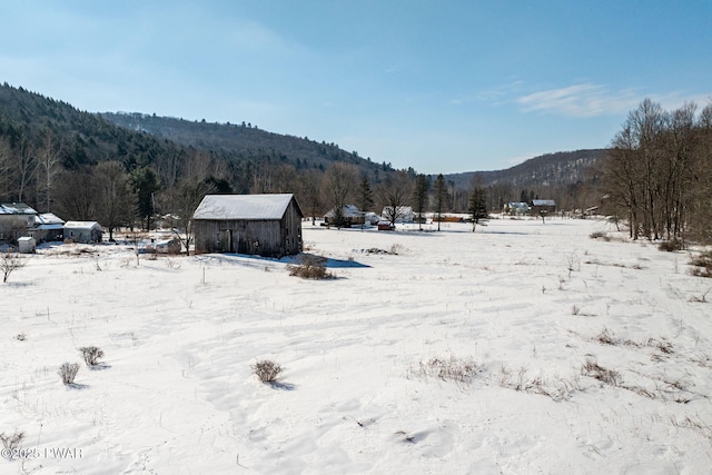 property view of mountains with a wooded view