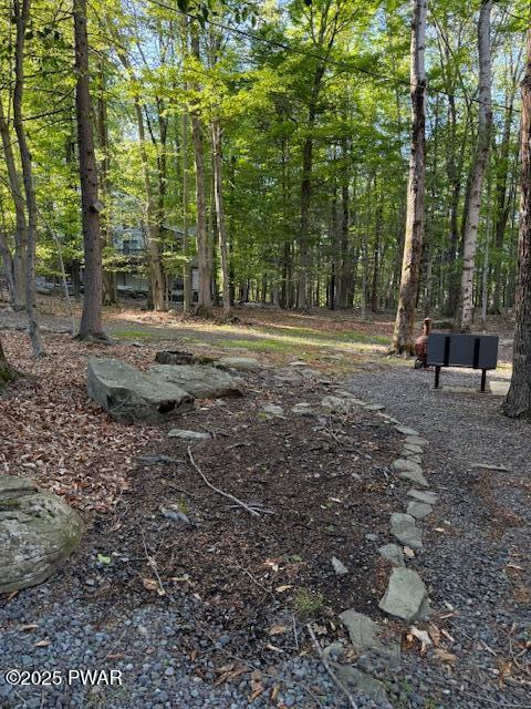 1030 Evergreen Dr, Lake Ariel, PA 18436 - view of yard