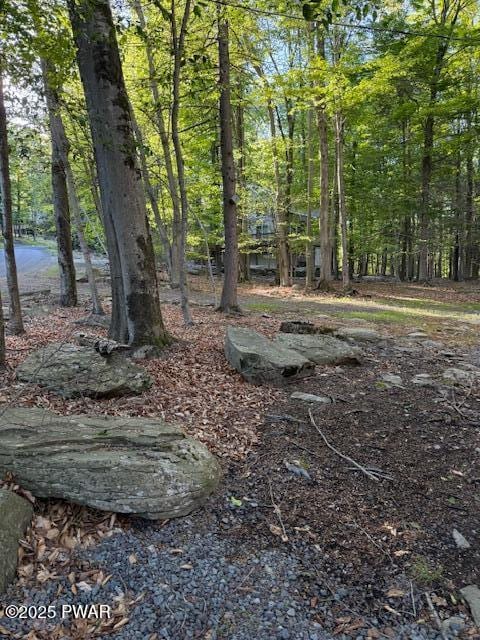 1030 Evergreen Dr, Lake Ariel, PA 18436 - view of yard