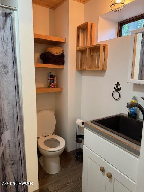 1030 Evergreen Dr, Lake Ariel, PA 18436 - bathroom featuring vanity, wood finished floors, toilet, curtained shower, and baseboards