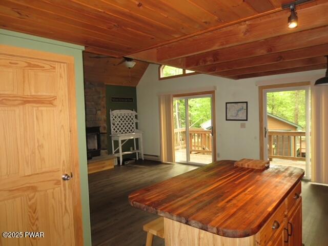 1030 Evergreen Dr, Lake Ariel, PA 18436 - dining area featuring dark wood-type flooring, healthy amount of natural light, wooden ceiling, and a baseboard radiator