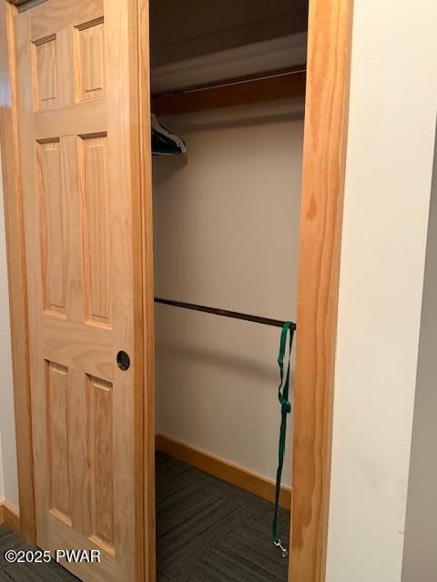 1030 Evergreen Dr, Lake Ariel, PA 18436 - view of closet