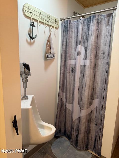 1030 Evergreen Dr, Lake Ariel, PA 18436 - bathroom featuring a shower with curtain and wood finished floors