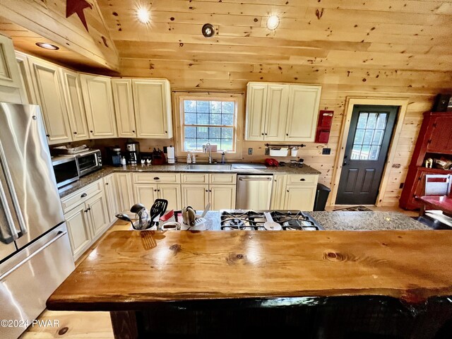 kitchen with appliances with stainless steel finishes, cream cabinets, wood walls, and sink