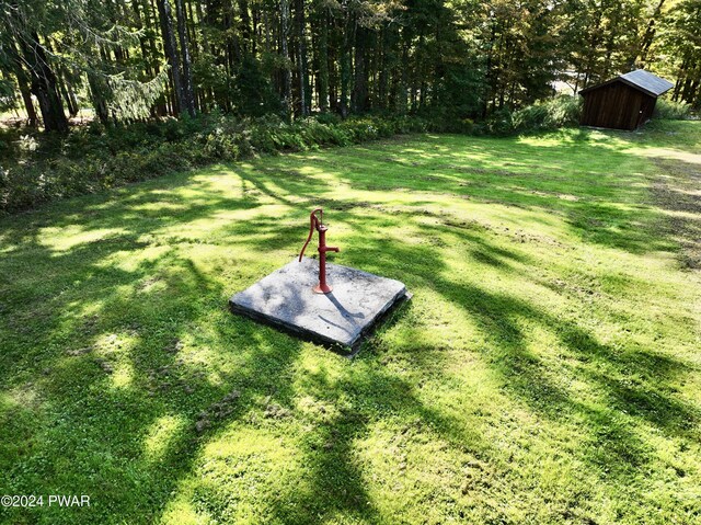 view of yard with a storage shed