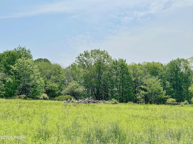 Cortez Rd, Jefferson Township, PA 18436 - photo 3