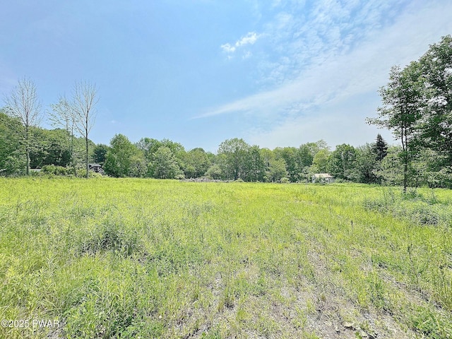 Cortez Rd, Jefferson Township, PA 18436 - photo 1
