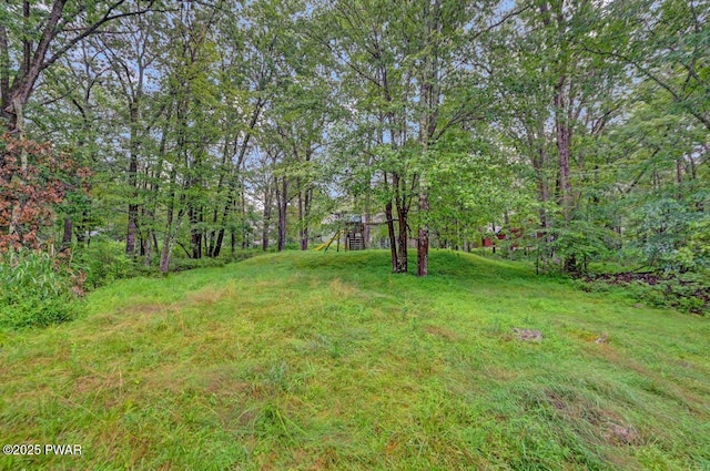 107 Franklin Dr, Lords Valley, PA 18428 - photo 54