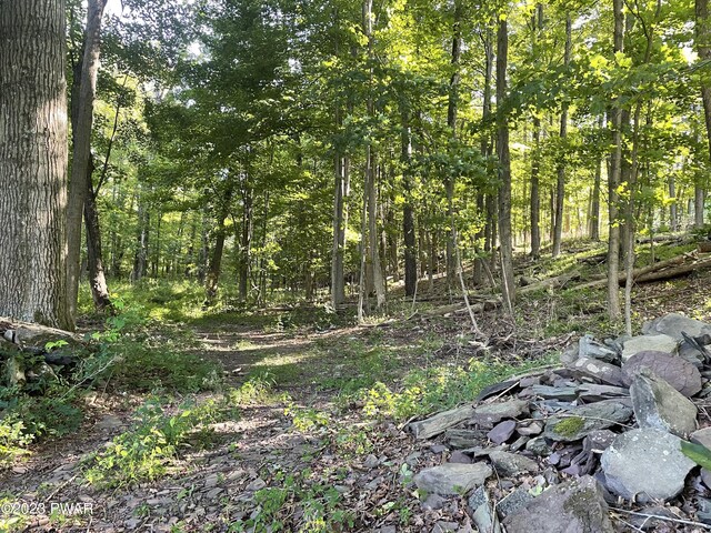 Patterson St, Waymart PA, 18472 land for sale