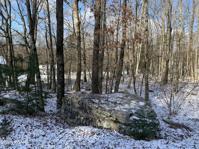 Listing photo 3 for LOT628 Catamount Rd, Hawley PA 18428