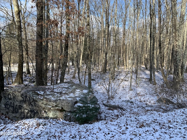 Listing photo 2 for LOT628 Catamount Rd, Hawley PA 18428