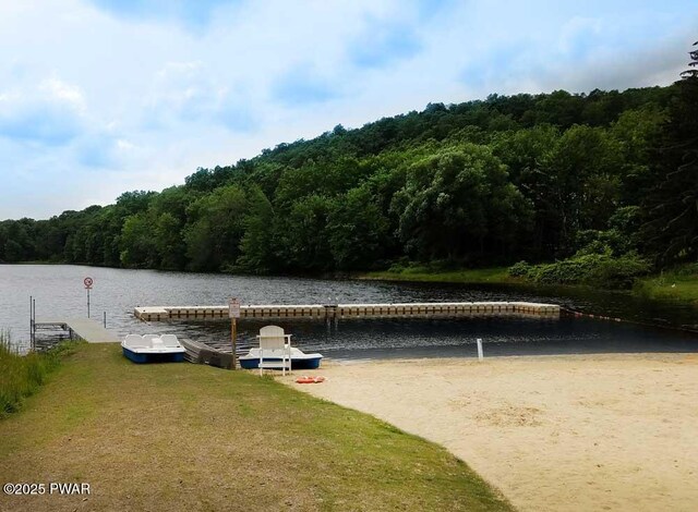 1093 Porter Dr, Bushkill, PA 18324 - photo 48