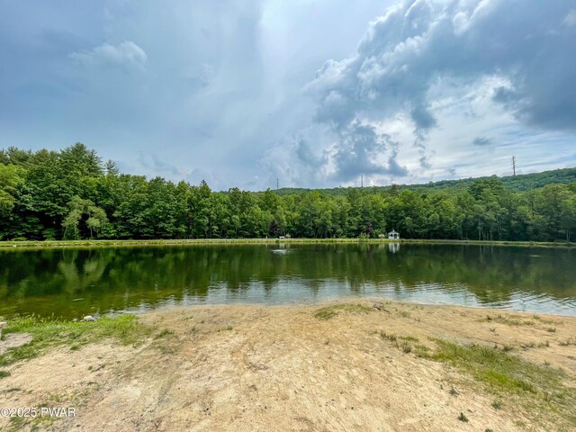 1093 Porter Dr, Bushkill, PA 18324 - photo 42