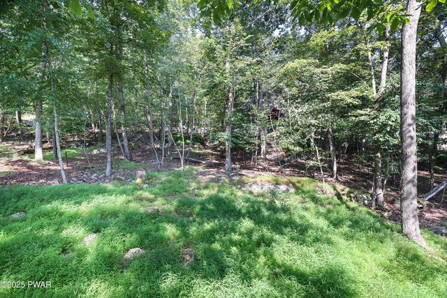 1093 Porter Dr, Bushkill, PA 18324 - photo 26