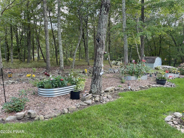 view of yard featuring a storage unit