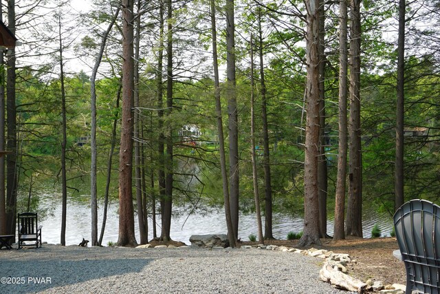 132 N Lake Shore Dr, Dingmans Ferry, PA 18328 - water view with a forest