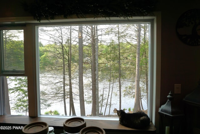 132 N Lake Shore Dr, Dingmans Ferry, PA 18328 - detailed view of nearby water