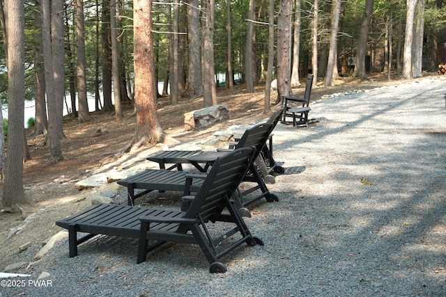 132 N Lake Shore Dr, Dingmans Ferry, PA 18328 - view of property's community