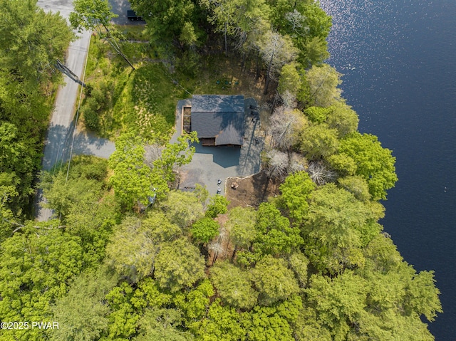 132 N Lake Shore Dr, Dingmans Ferry, PA 18328 - view from above of property with a large body of water