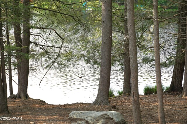 132 N Lake Shore Dr, Dingmans Ferry, PA 18328 - water view